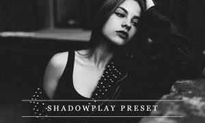 Shadowplay - Lightroom preset 1237373
