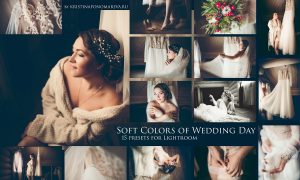 Soft Colors of Wedding - 15 Presets 1149630