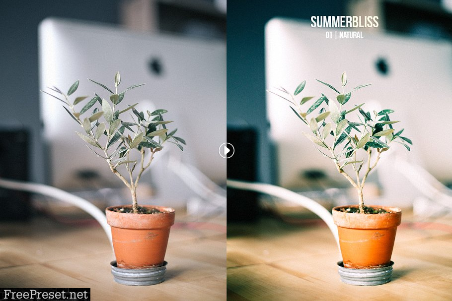 Summerbliss Lightroom Preset Pack 773119