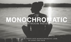 The Monochromatic Lightroom Presets 1211304