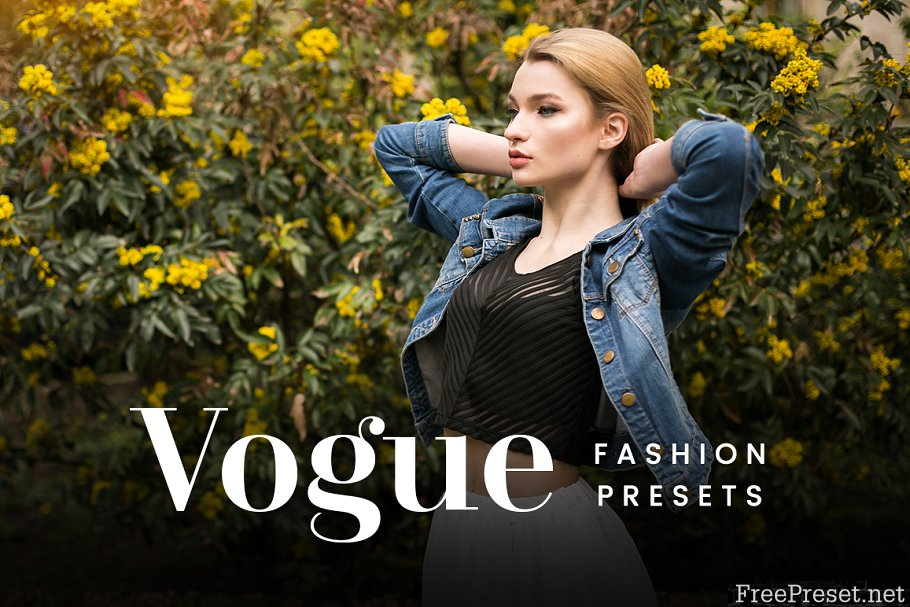 Vogue FX - Lightroom Presets 967170