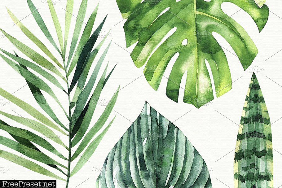 Watercolor Tropics 2350524