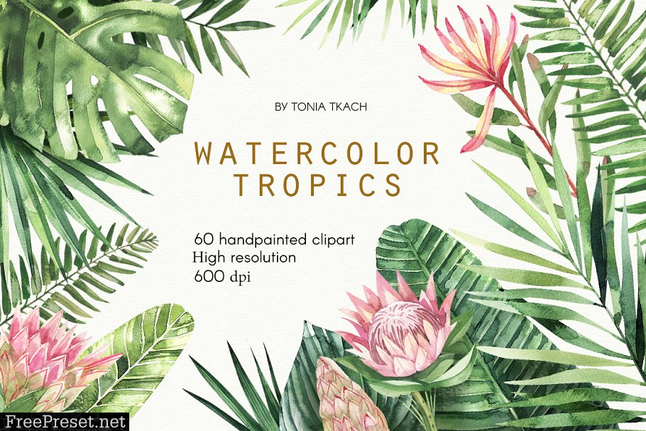 Watercolor Tropics 2350524