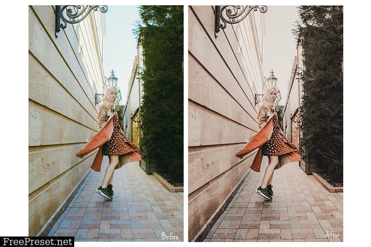 Alex Lightroom Preset 4008552