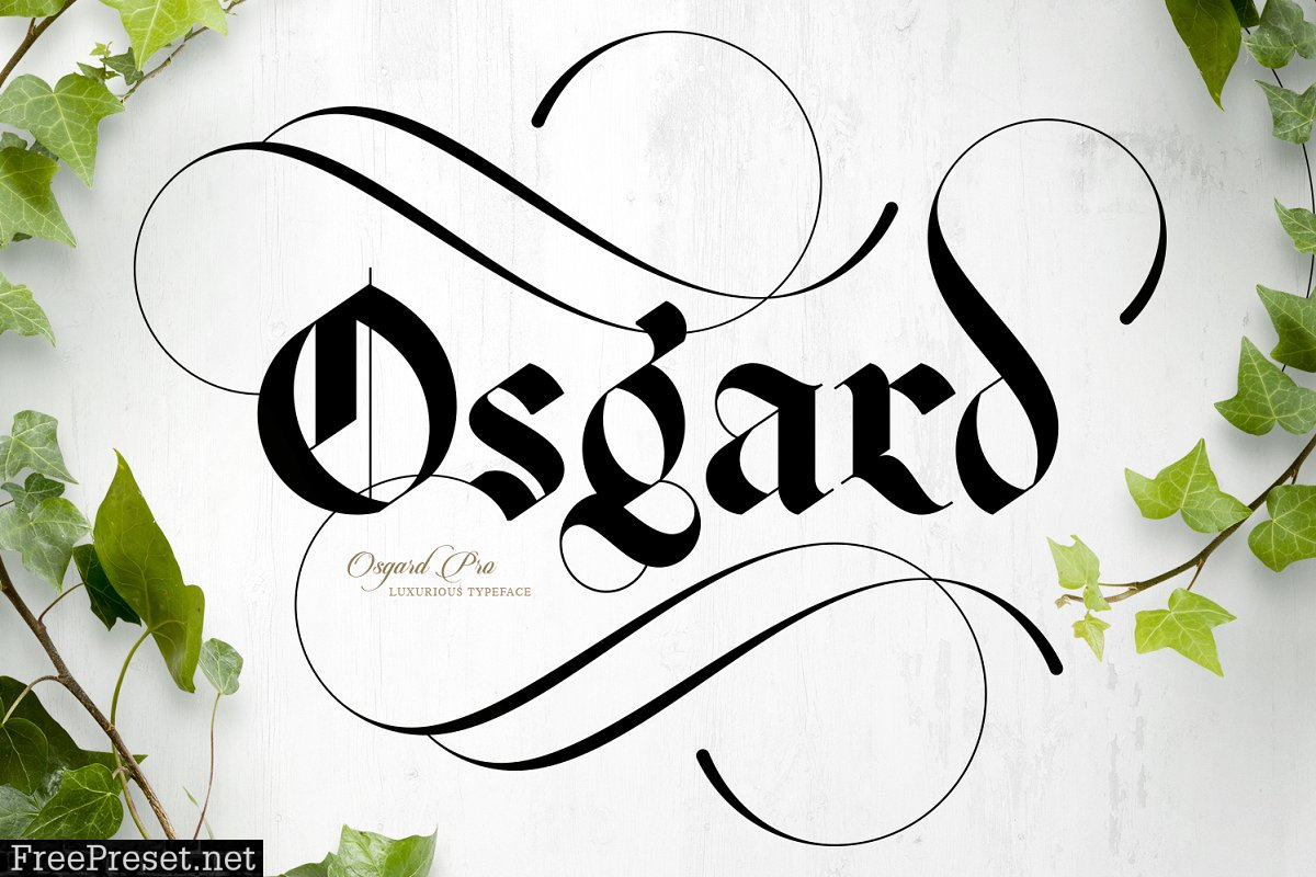 Osgard Pro | Font 2171323