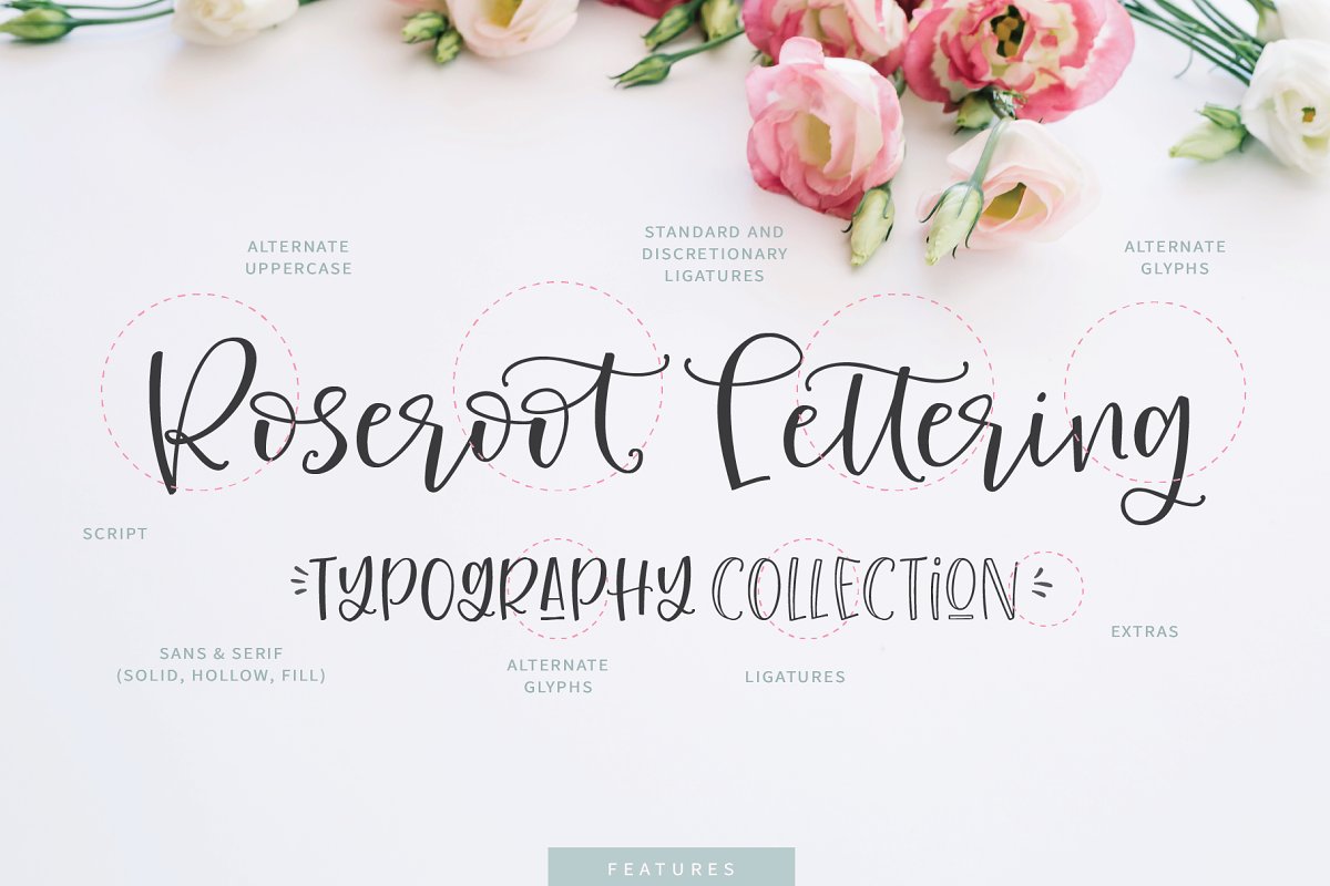 Roseroot Cottage Font Collection 2850245