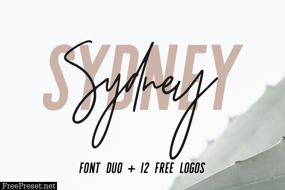Sydney | Font Duo + 12 Free Logos 1699086