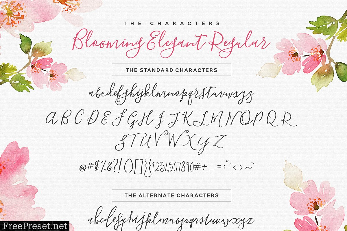 The Blooming Elegant Font Trio 537891