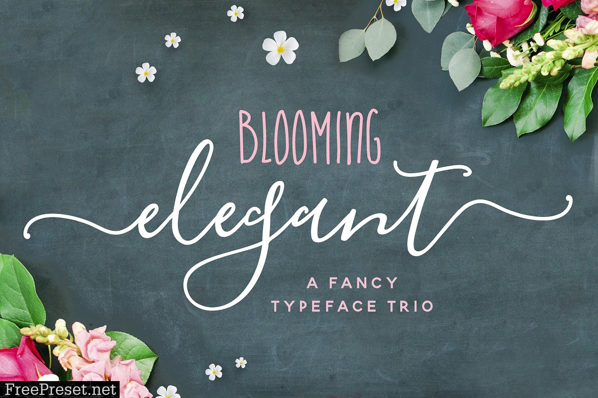 The Blooming Elegant Font Trio 537891