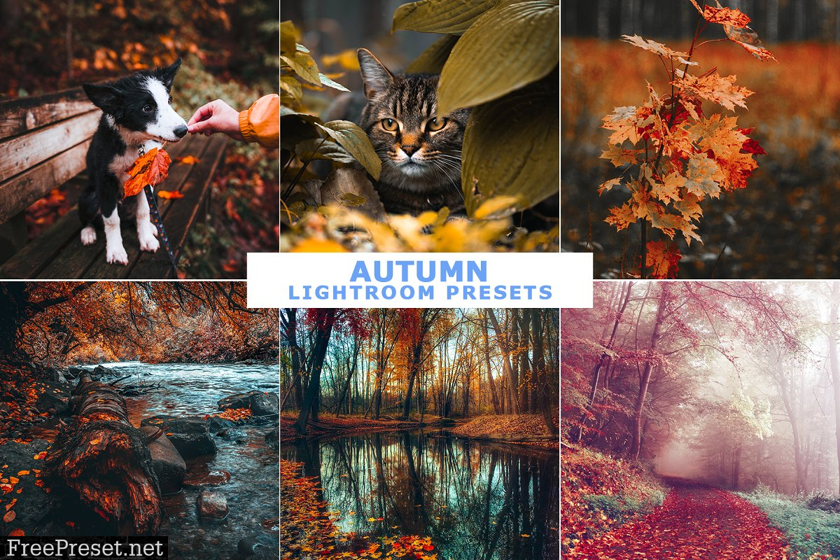 4 IN 1 Lightroom Presets Bundle 4358323