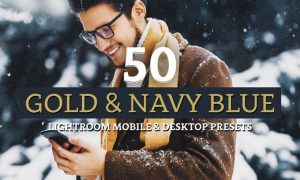 50 Gold & Navy Lightroom Presets