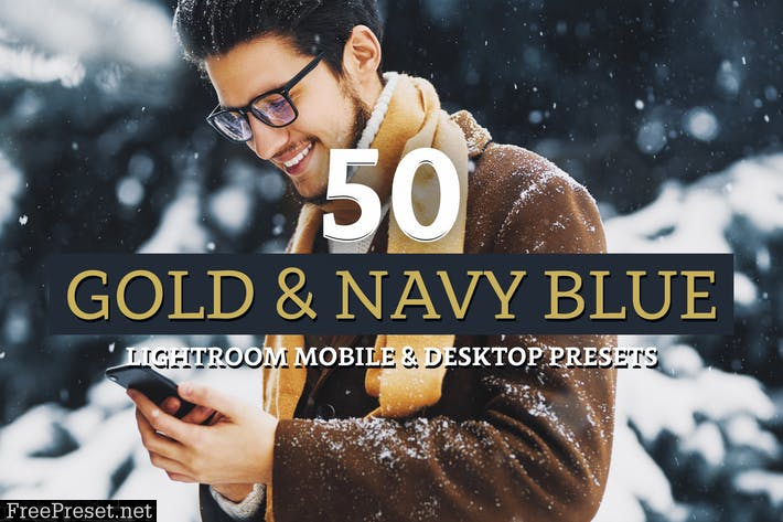 50 Gold & Navy Lightroom Presets