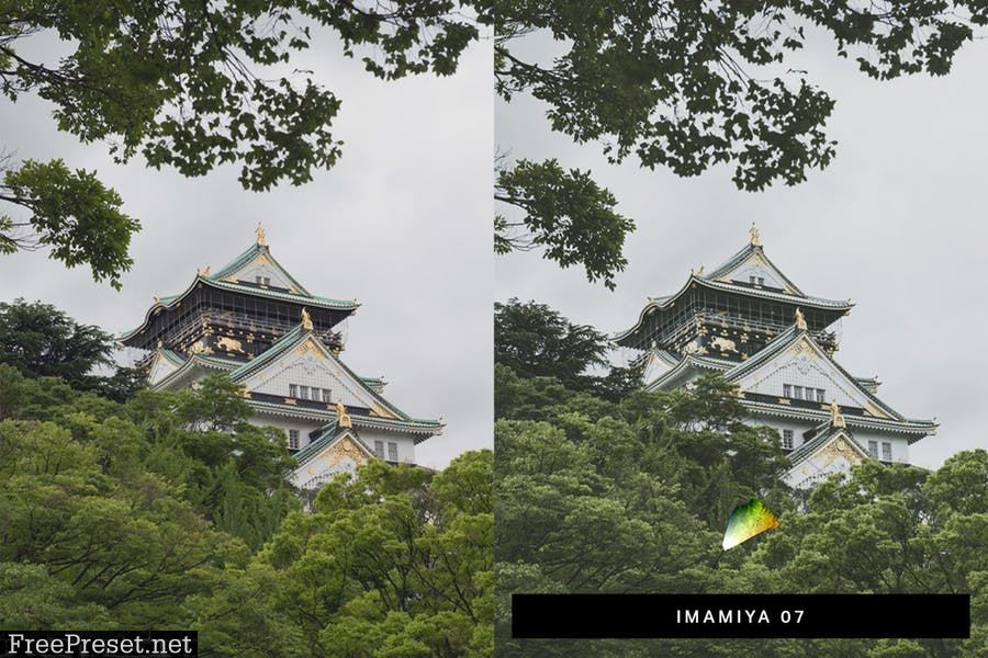 50 Matcha Lightroom Presets and LUTs