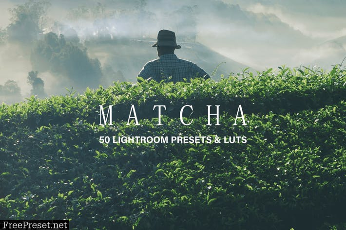 50 Matcha Lightroom Presets and LUTs