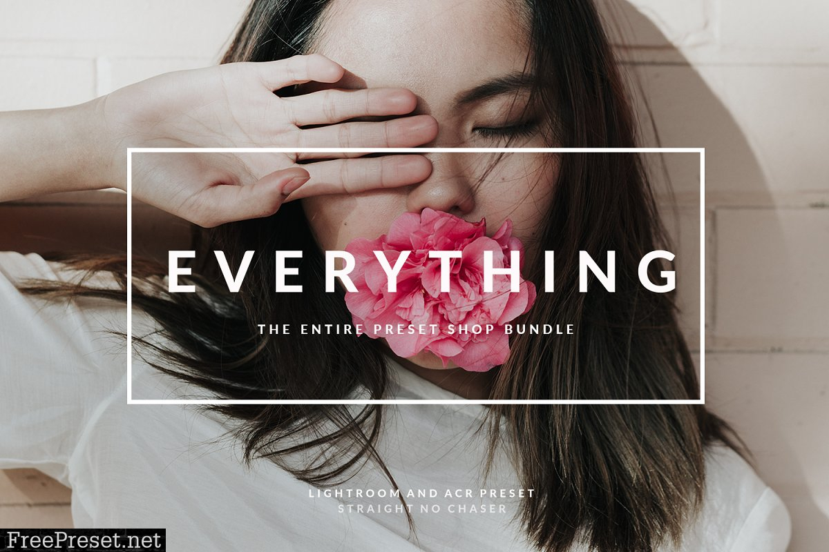 EVERYTHING preset bundle 4358352