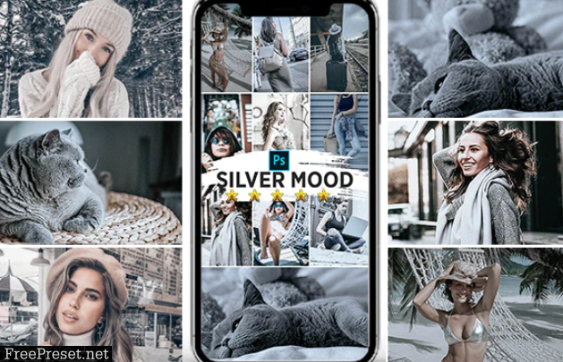 Silver Mood Photoshop Actions 25147155