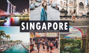 Singapore Mobile & Desktop Lightroom Presets