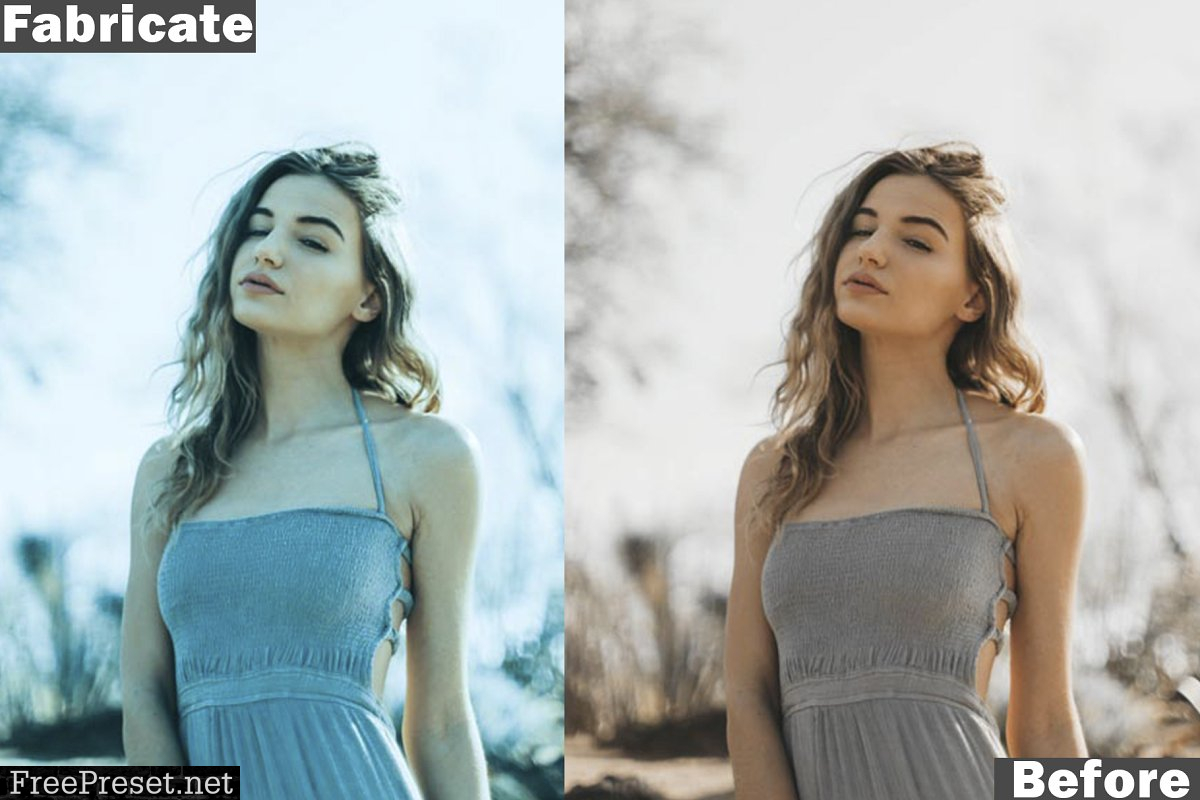 10 Premium Lightroom Presets 4424231