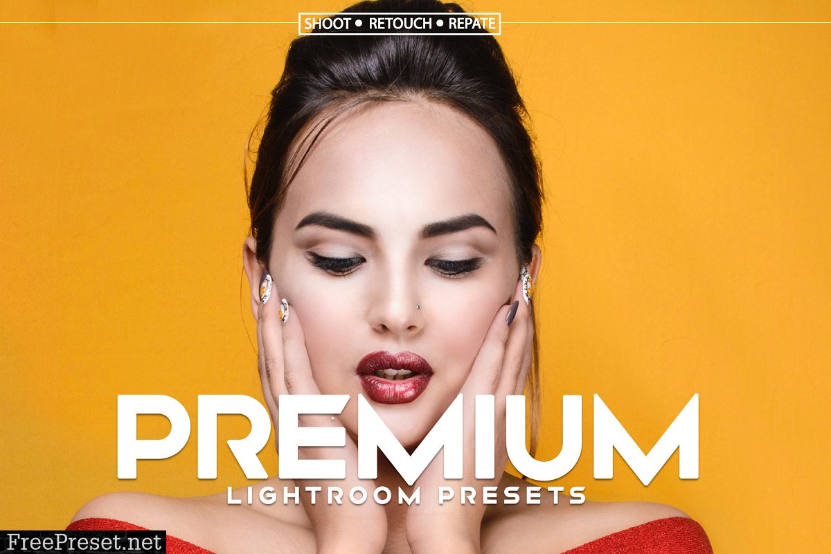 10 Premium Lightroom Presets 4424231