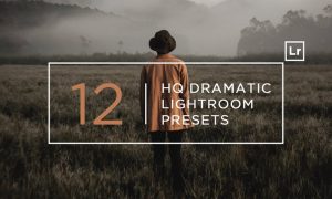 12 HQ Dramatic Lightroom Presets