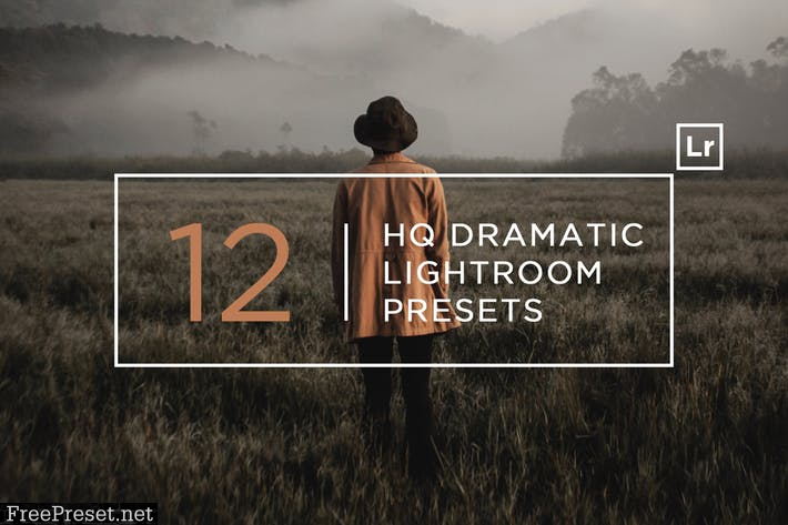 12 HQ Dramatic Lightroom Presets