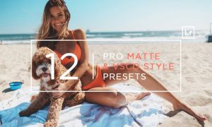 12 Pro Matte + VSCO Style Lightroom Presets