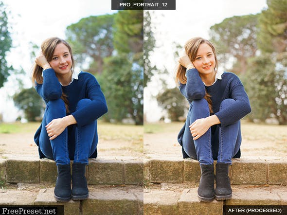 16 Pro Portrait + Film Lightroom Presets