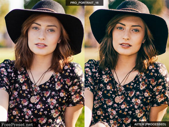 16 Pro Portrait + Film Lightroom Presets