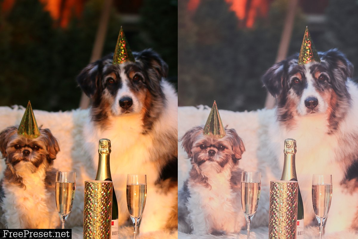 5 Lightroom Presets, New Year Party 4424549