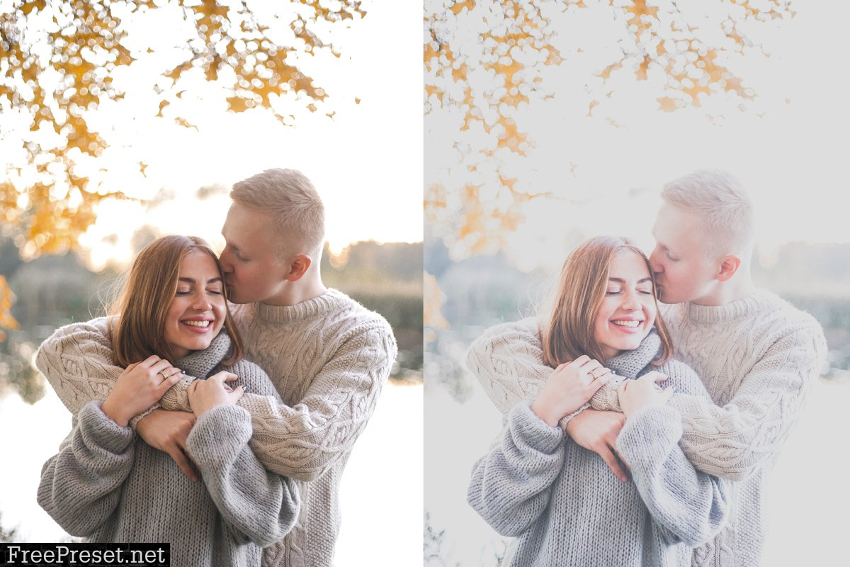 5 Lightroom Presets, Valentines Day 4423211