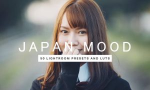 50 Japan Mood Lightroom Presets LUTs