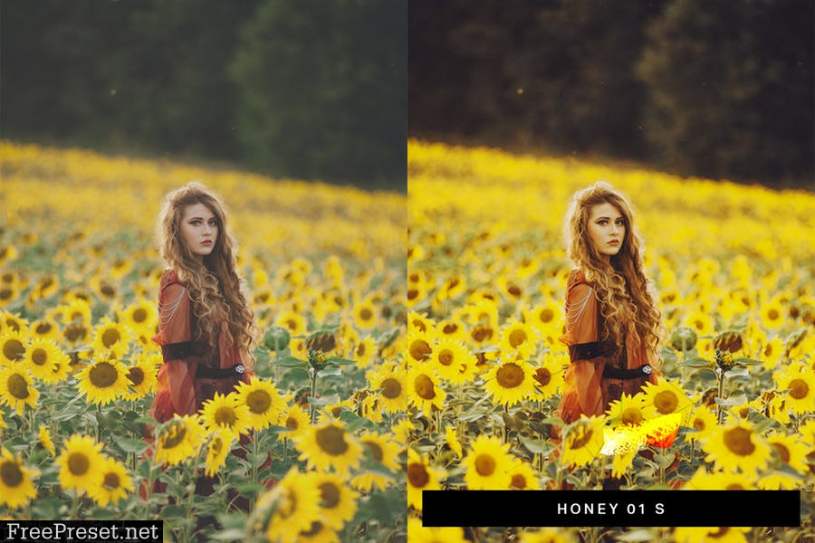 50 Moody Lightroom Presets and LUTs