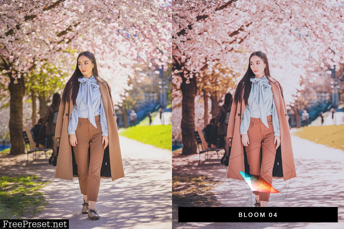 50 Sakura Pink Lightroom Presets and LUTs 4498892