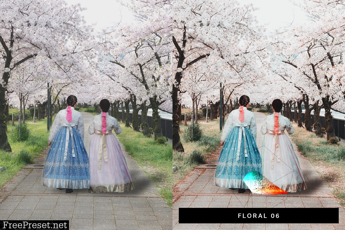 50 Sakura Pink Lightroom Presets and LUTs 4498892