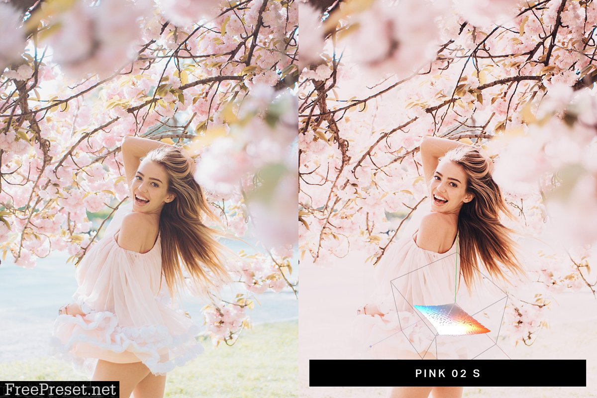 50 Sakura Pink Lightroom Presets and LUTs 4498892