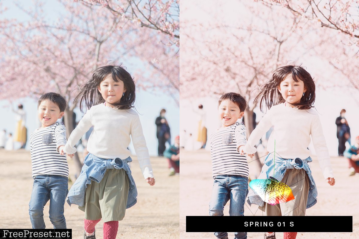 50 Sakura Pink Lightroom Presets and LUTs 4498892