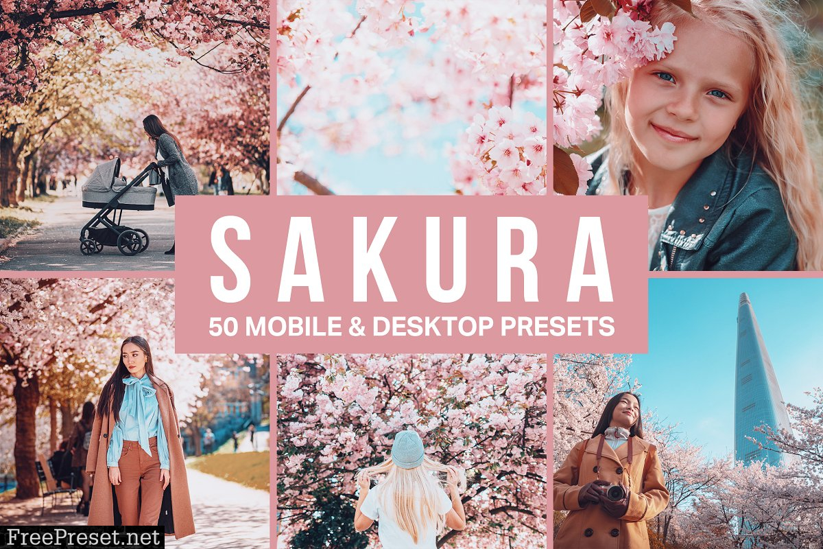 50 Sakura Pink Lightroom Presets and LUTs 4498892