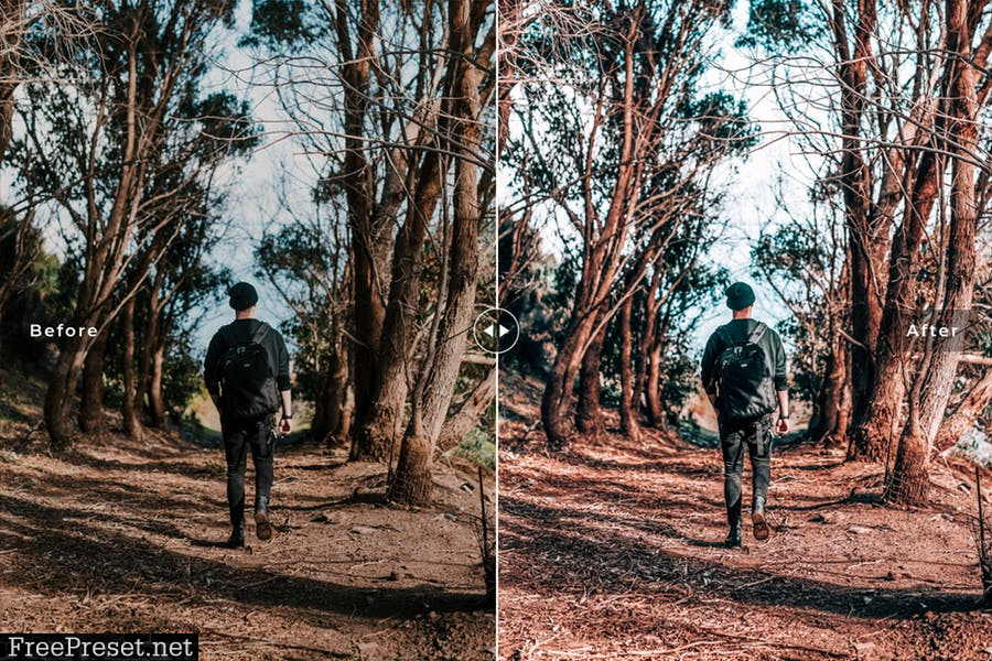 Adelaide Mobile & Desktop Lightroom Presets