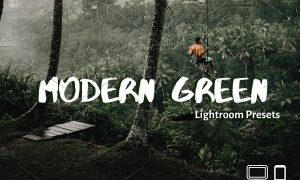 Green Lightroom Presets XMP DNG 4324621