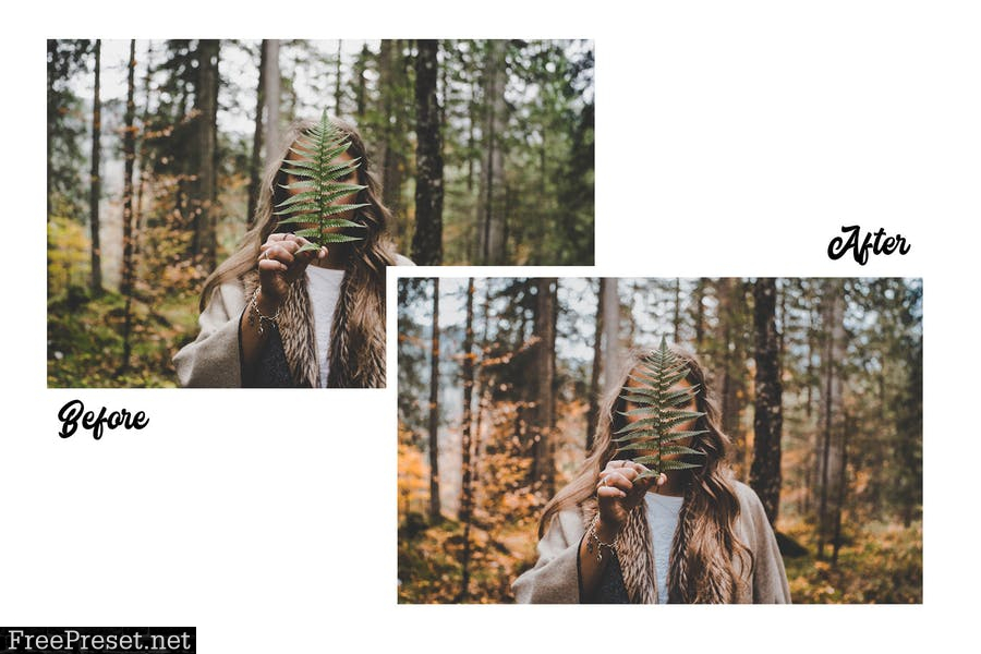 Influencer & Blogger Vol. 1 - 15 Premium LRPresets