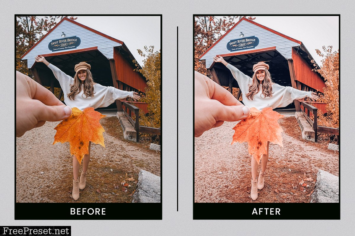 Lightroom Presets Autumn Leaves 4412823