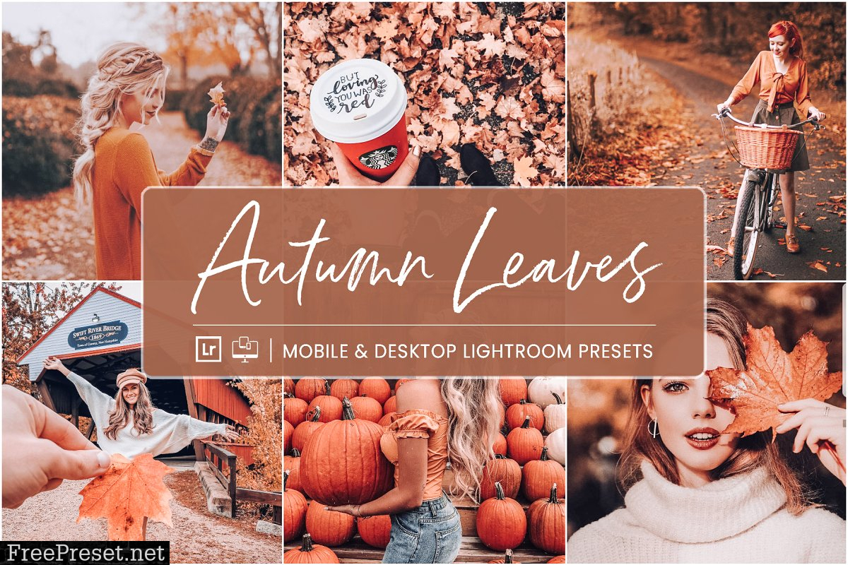 Lightroom Presets Autumn Leaves 4412823