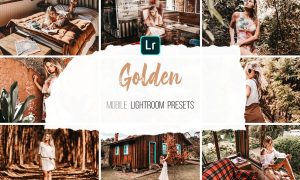 Mobile Lightroom Presets - Golden 4316546