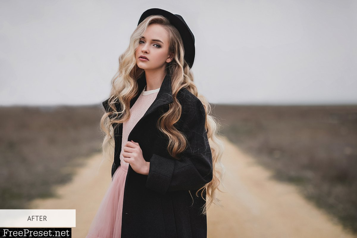 Moody Style Presets for Lightroom 4291241