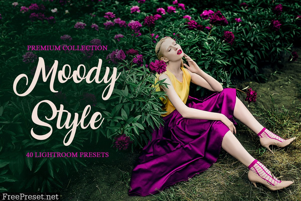 Moody Style Presets for Lightroom 4291241