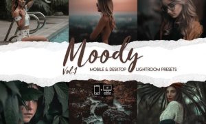 Moody Vol. 1 - 15 Premium Lightroom Presets