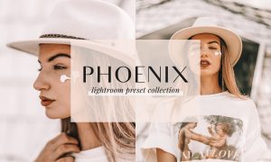 Phoenix Lightroom Presets 4437457