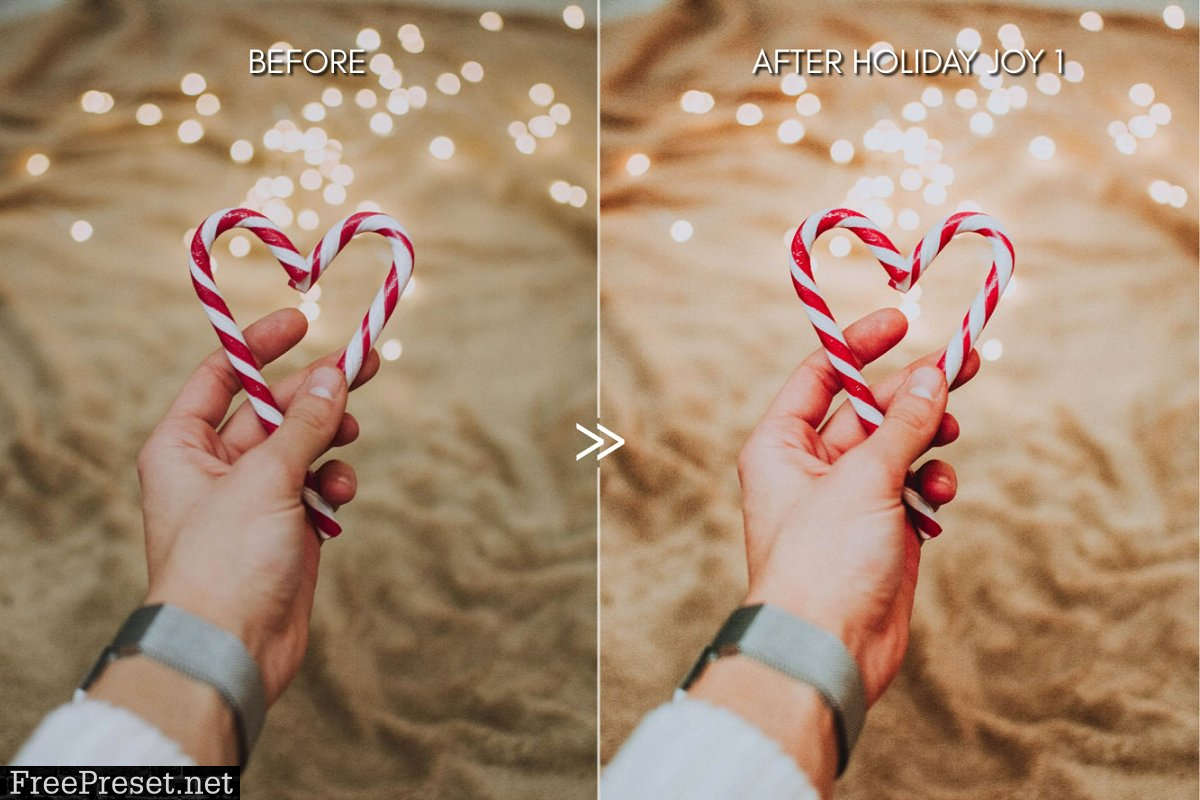 Rich HOLIDAY JOY Lightroom Presets 4419096