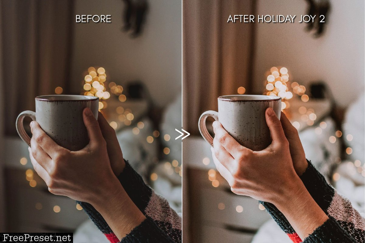 Rich HOLIDAY JOY Lightroom Presets 4419096