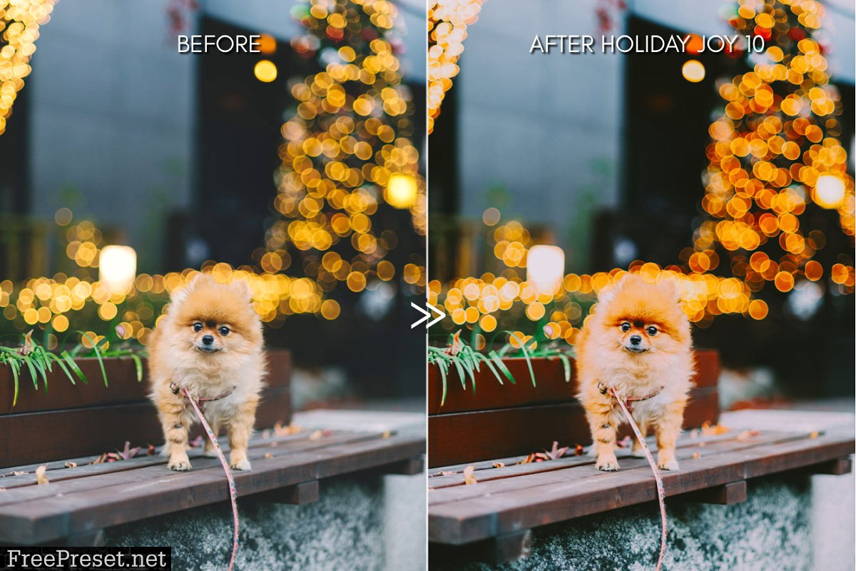 Rich HOLIDAY JOY Lightroom Presets 4419096